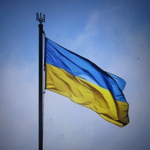 Meet your Posher, Anne